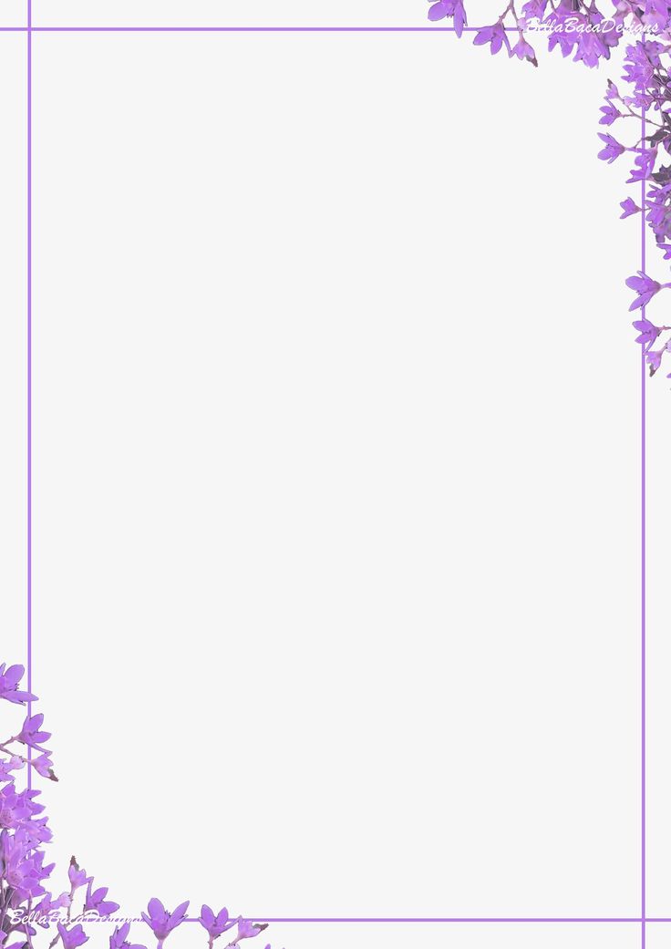 purple flowers are in front of a white background with a rectangle frame on the bottom