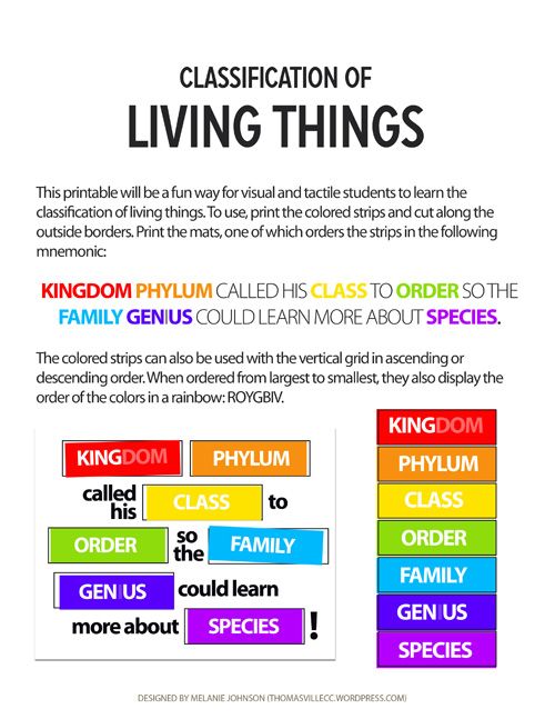 a poster with different types of living things on the front and back of it,