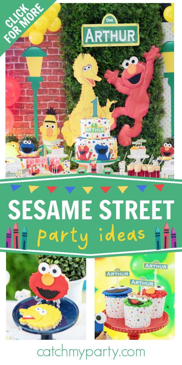 sesame street birthday party with elm and elm