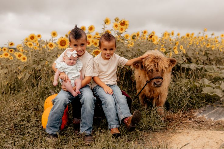 two children and a dog are sitting in the sunflower field with a large brown cow