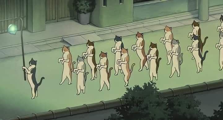 several cats are walking down the street with their backs turned to look like they're being chased by another cat