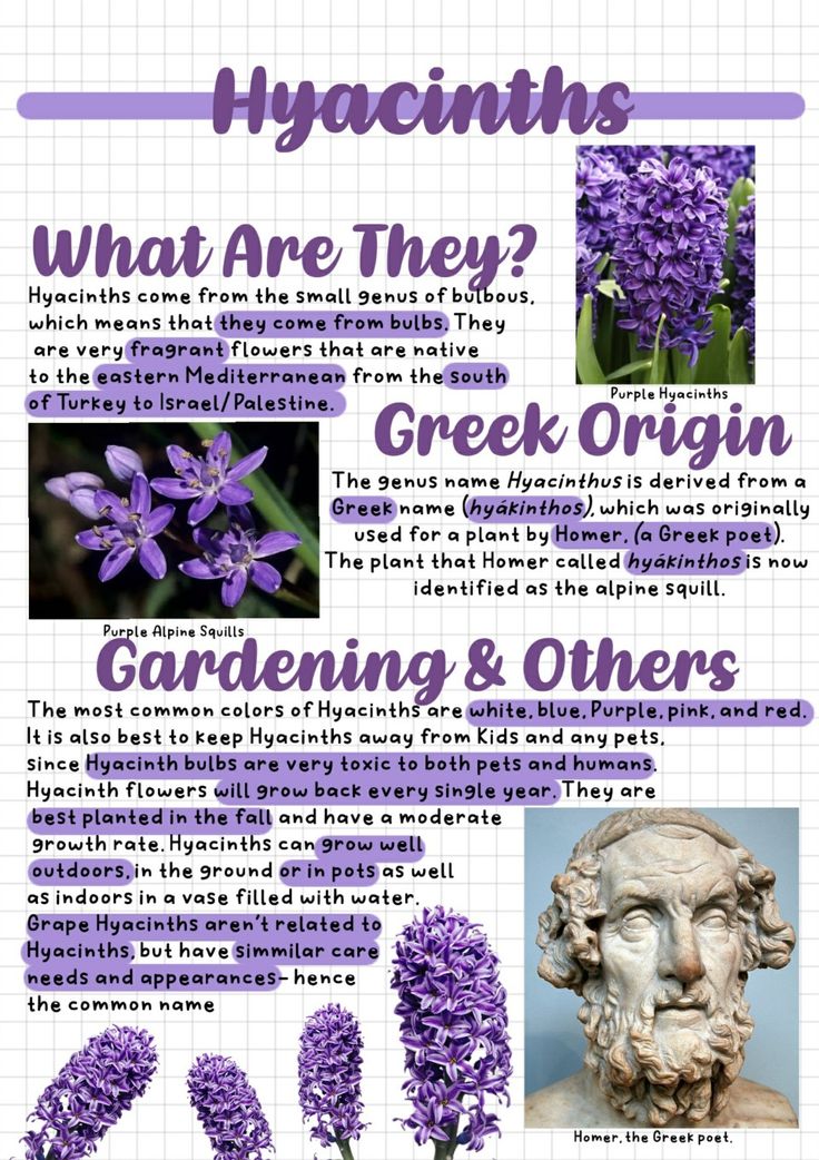 some purple flowers are in the middle of an article