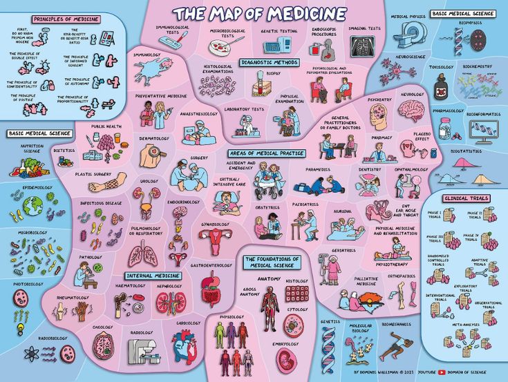 the map of medicine is shown in pink and has many different types of medical items