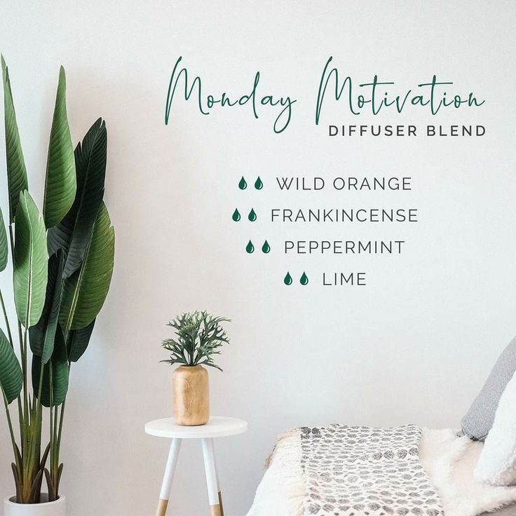 Monday Diffuser Blends, Diffuser Blends Young Living, Essential Oil Mixtures, Young Living Oils Recipes, Living Oils Recipes, Doterra Diffuser Blends, Essential Oil Diffuser Blends Recipes, Young Living Essential Oils Recipes, Essential Oil Diffuser Recipes