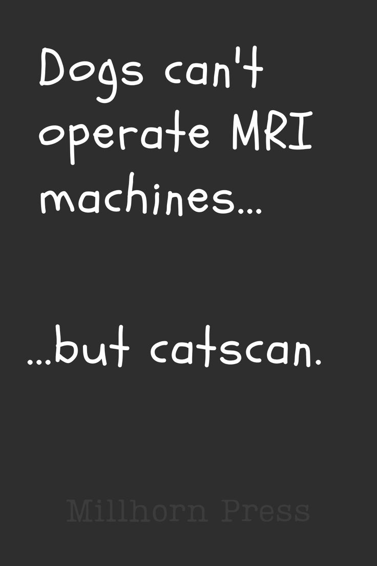 the words dogs can't operate mri machines but catscan on black and white