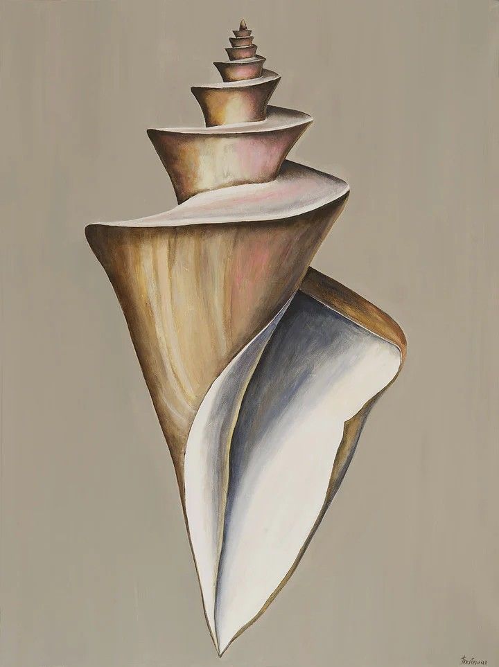 a painting of a shell on a beige background with white and brown colors, it looks like an abstract piece of art