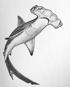 a drawing of a shark with its mouth open