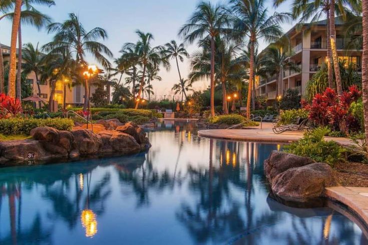 an outdoor swimming pool surrounded by palm trees and lawn chairs at dusk with lights on