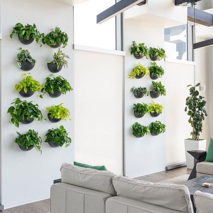 a living room filled with furniture and lots of green plants on the side of the wall