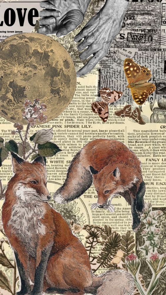 a collage of foxes and butterflies with the words love written on it's side