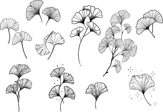 the flowers are drawn in black and white on a white background, each with different petals