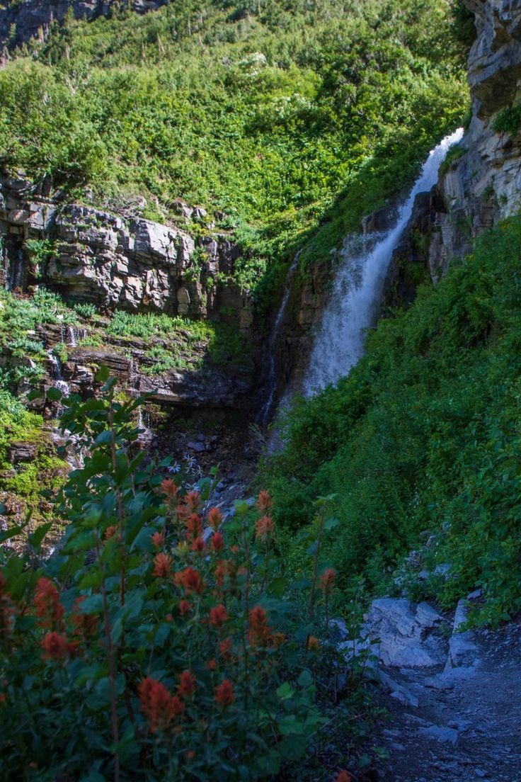 there is a small waterfall coming down the side of this hill with wildflowers