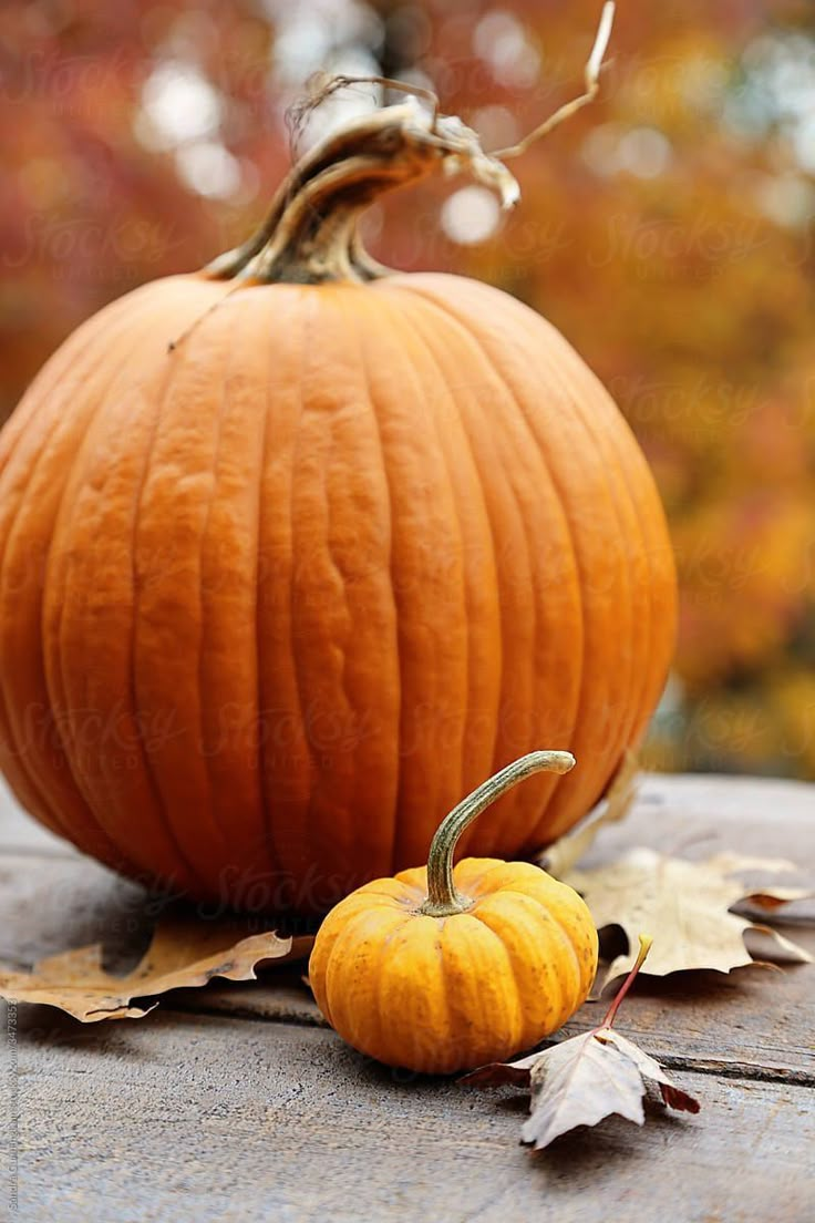 an orange pumpkin sitting on top of a wooden table