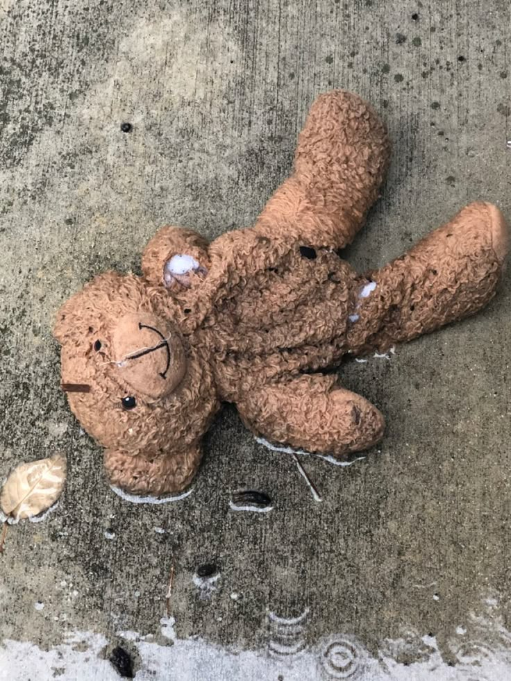 a brown teddy bear laying on the ground