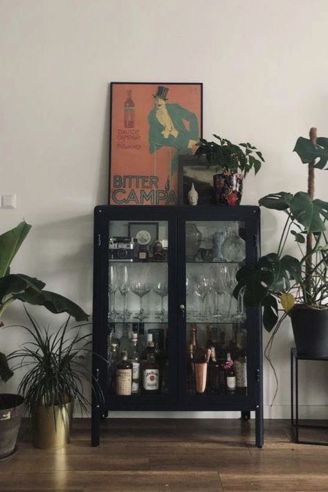 a glass cabinet with bottles and glasses on it in front of some houseplants