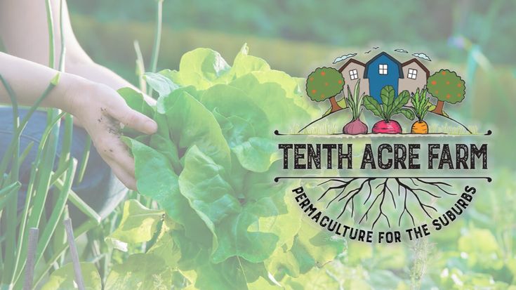 Tenth Acre Farm with Amy Stross