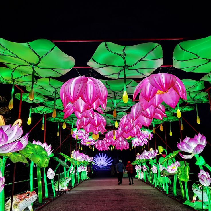 people are walking under umbrellas decorated with pink flowers and green leaves in the dark