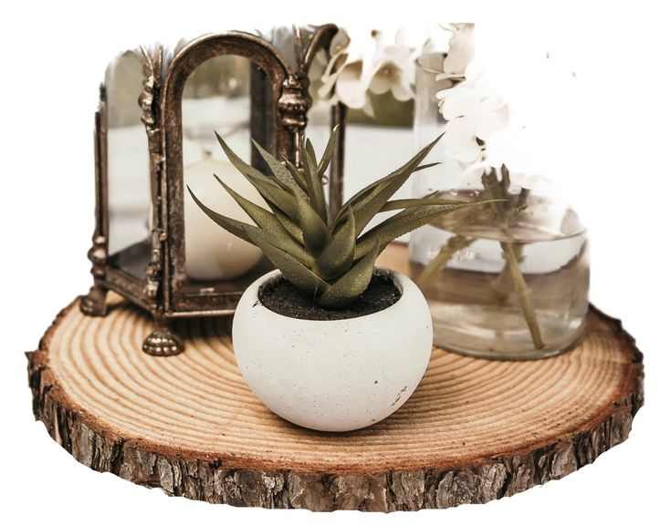 a small potted plant sitting on top of a wooden table next to a mirror