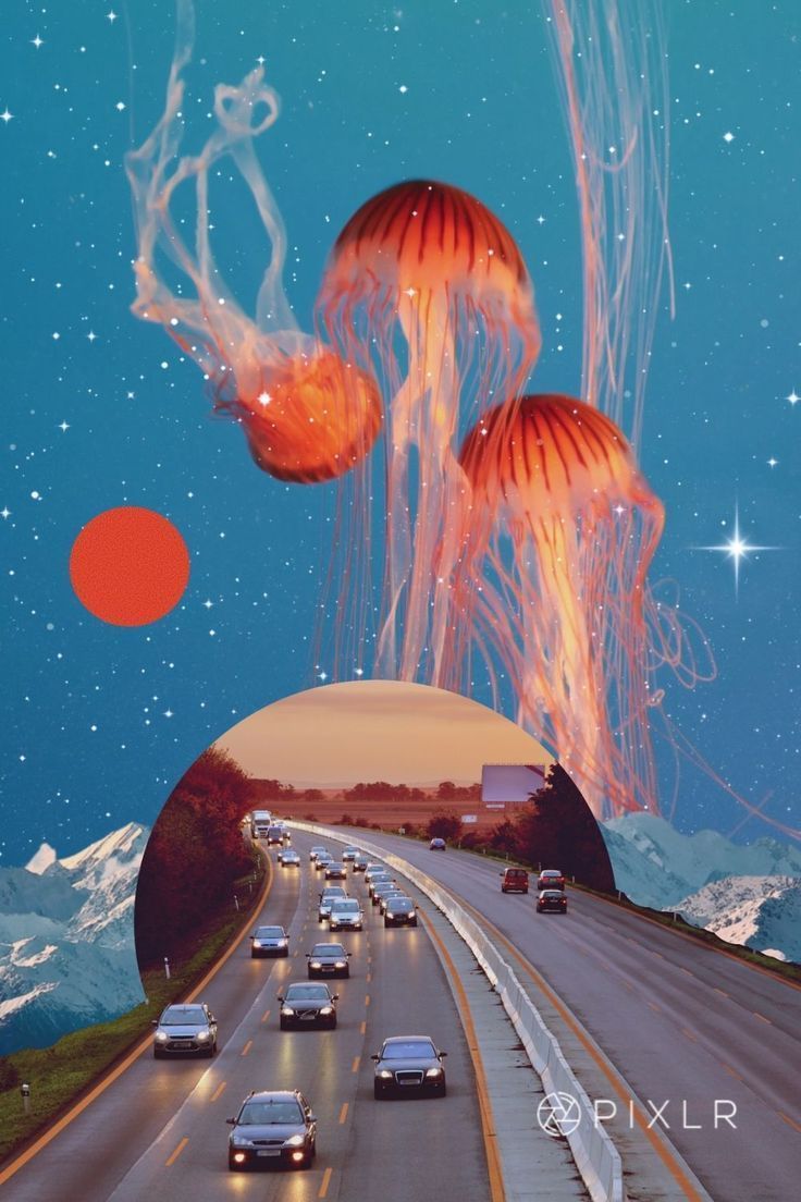 cars driving down the road with jellyfish floating over them