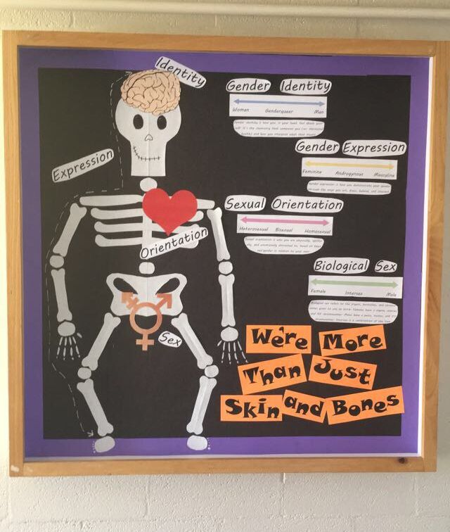 a bulletin board with a skeleton holding a heart