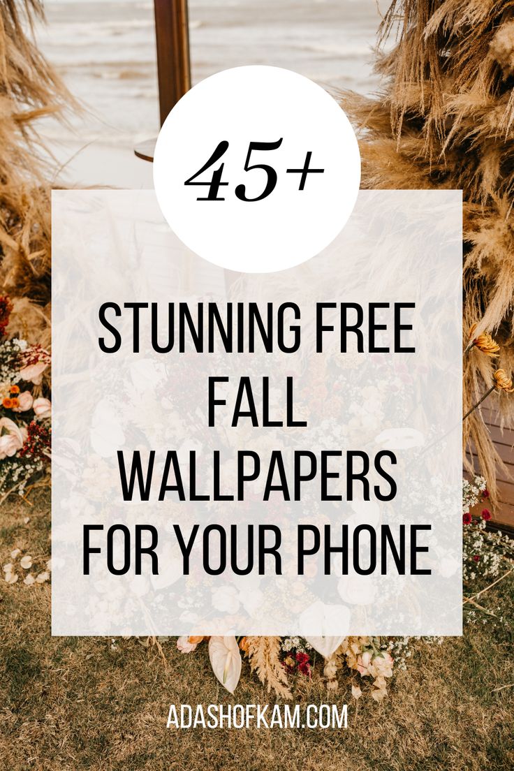 a sign that says, 45 stunning free fall wallpapers for your phone with the text