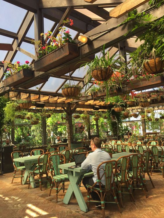 a man sitting at a table in a restaurant with potted plants hanging from the ceiling