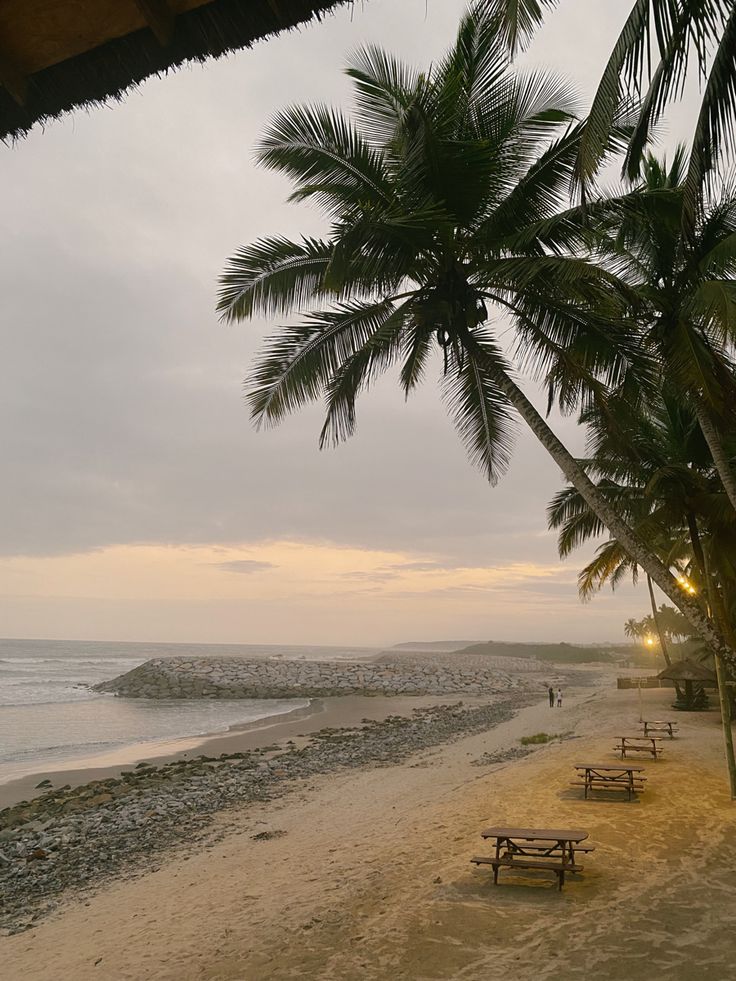 a beach with benches and palm trees next to the ocean