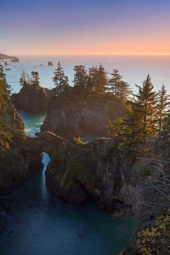 an aerial view of the ocean with trees and rocks in the foreground at sunset