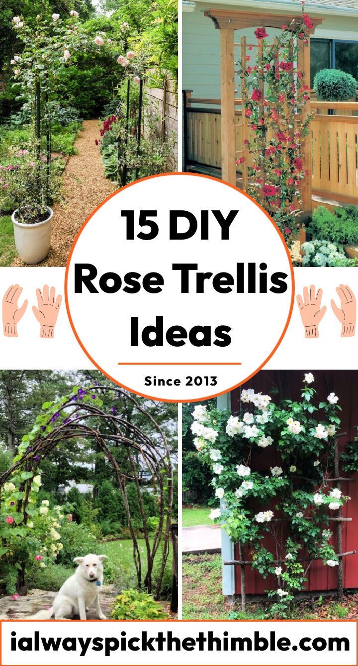 the top ten diy rose trellis ideas