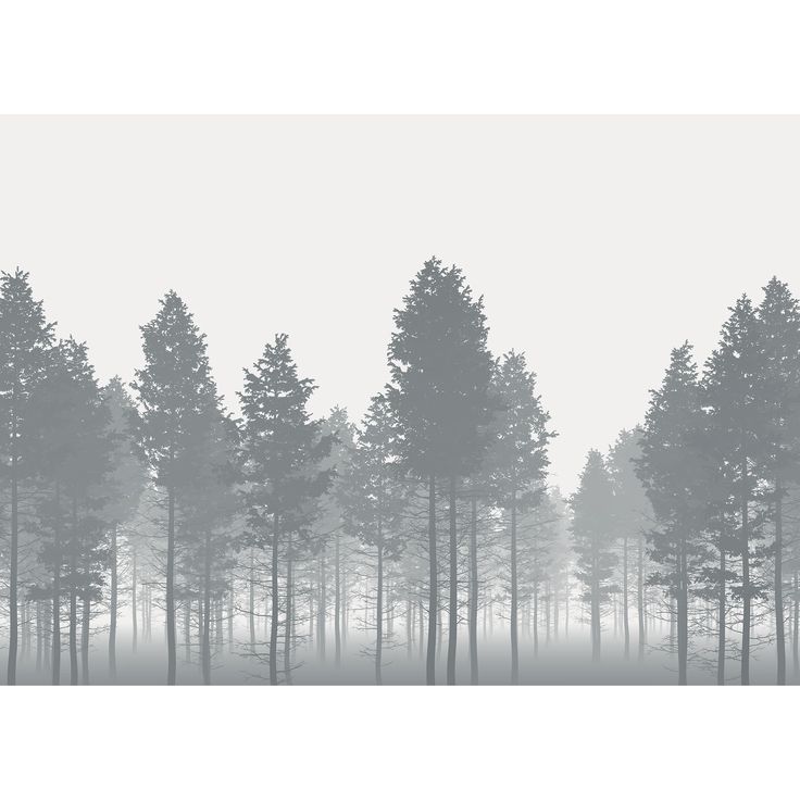 trees in the fog on a white background