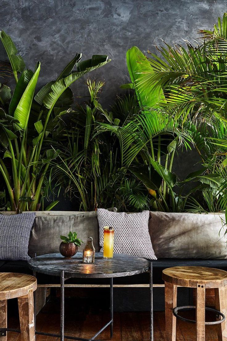 an outdoor seating area with tropical plants on the wall and wooden stools around it