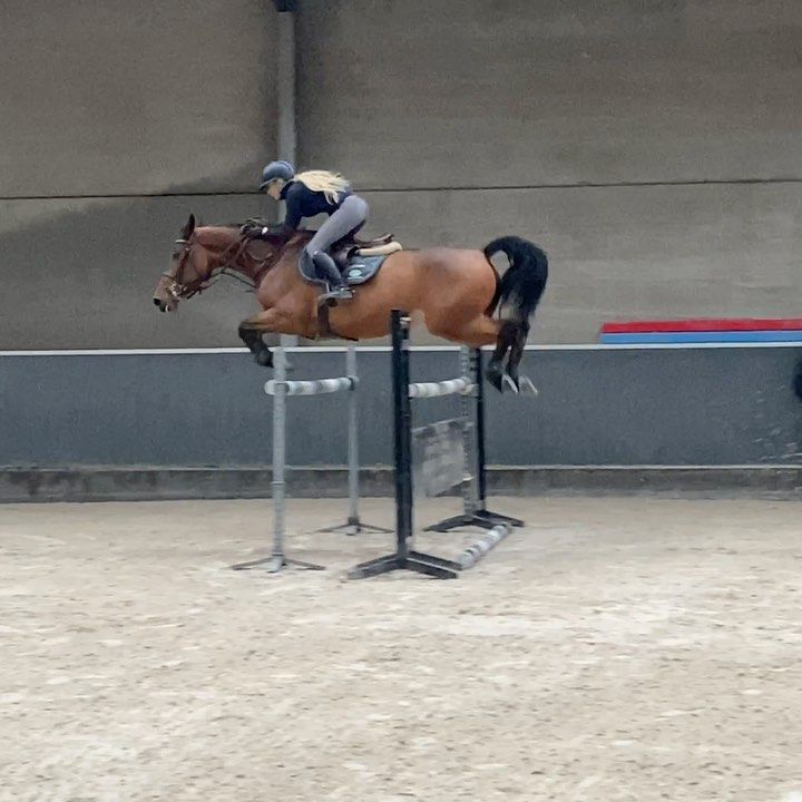 a person on a horse jumping over an obstacle