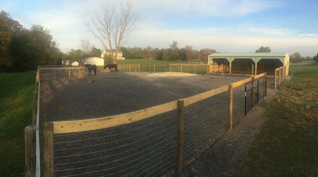 two horses are standing in an enclosed area