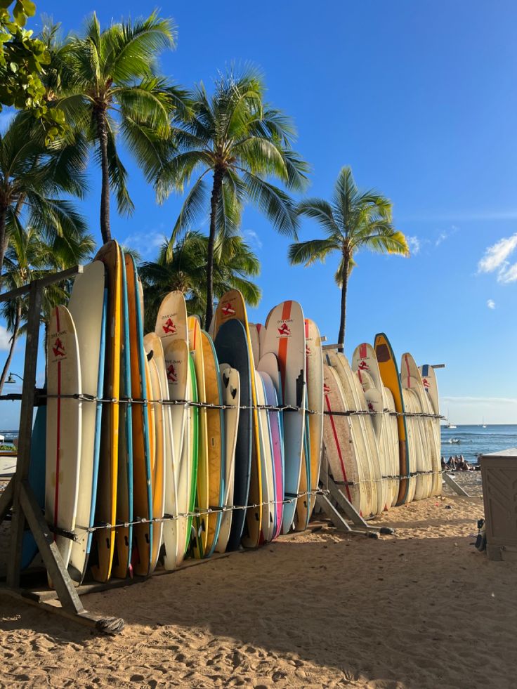 many surfboards are lined up against the fence on the beach near the water and palm trees