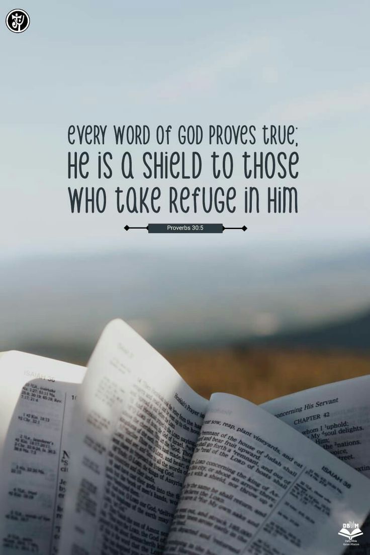 an open book with the words every word of god proves true he is a shield to those who take refuge in him