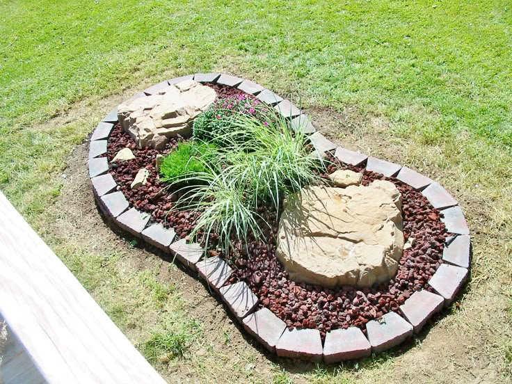 a rock garden bed with plants in it