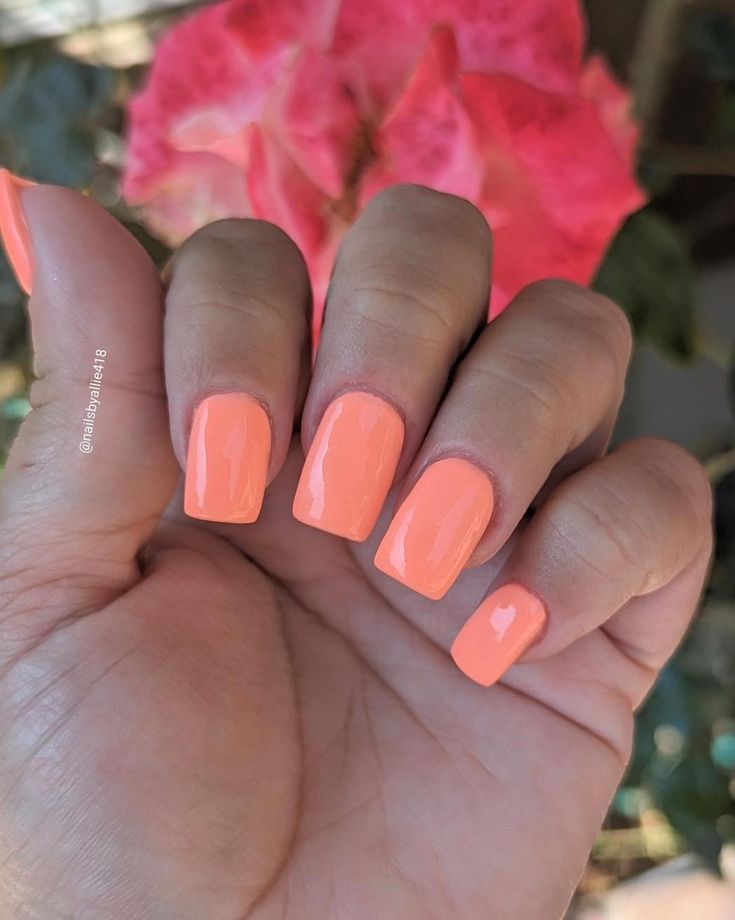 This peachy coral is the perfect summer shade! 🎆Friends & Firecrackers🎆 will be available Tomorrow @ 10AM EST! https://www.peppigel.com/dipdelights (Manicures by- Felicha C., Allie R.) #peppigel #dippowdernails #nails #diy #diynails #gelnails #summernails #summer2024nails Coral Acrylic Nails, Salmon Nails, Coral Gel Nails, Peachy Nails, Coral Pink Nails, Peppi Gel, August Nails, Peach Nails, Coral Nails