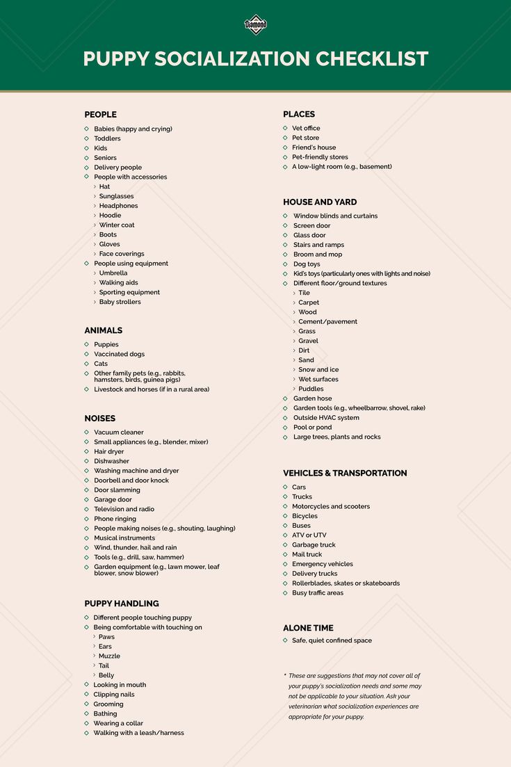 the puppy socialization checklist is shown in green and white, with words above it