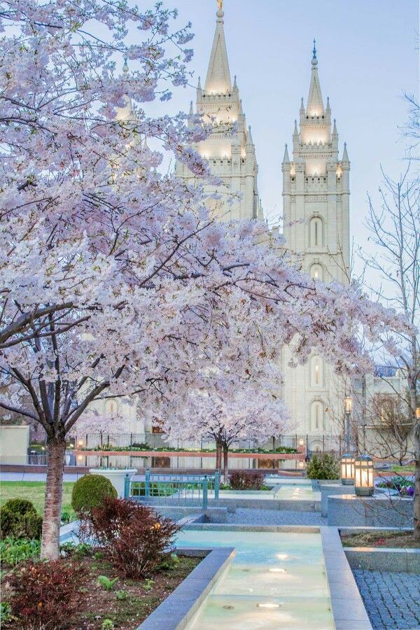 the large cathedral has many spires on it's sides and is surrounded by trees