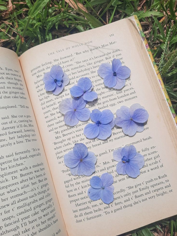 an open book with blue flowers sitting on top of it in the grass next to some plants