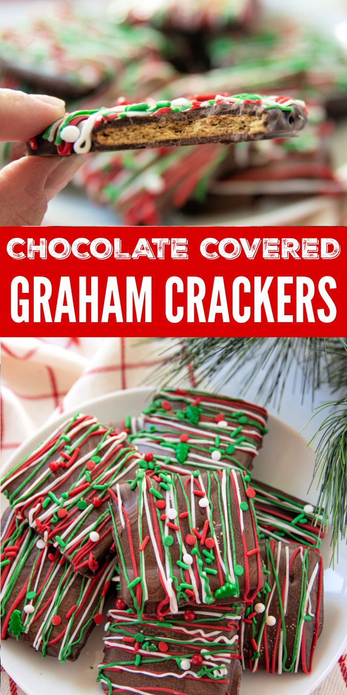 chocolate covered graham crackers on a white plate