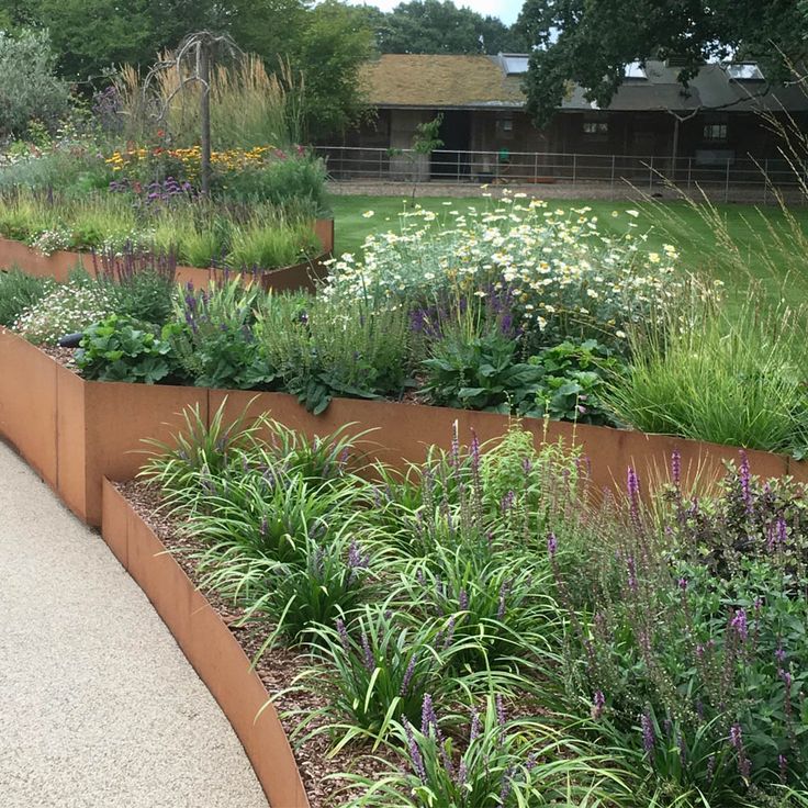 a garden filled with lots of different types of flowers and plants next to each other