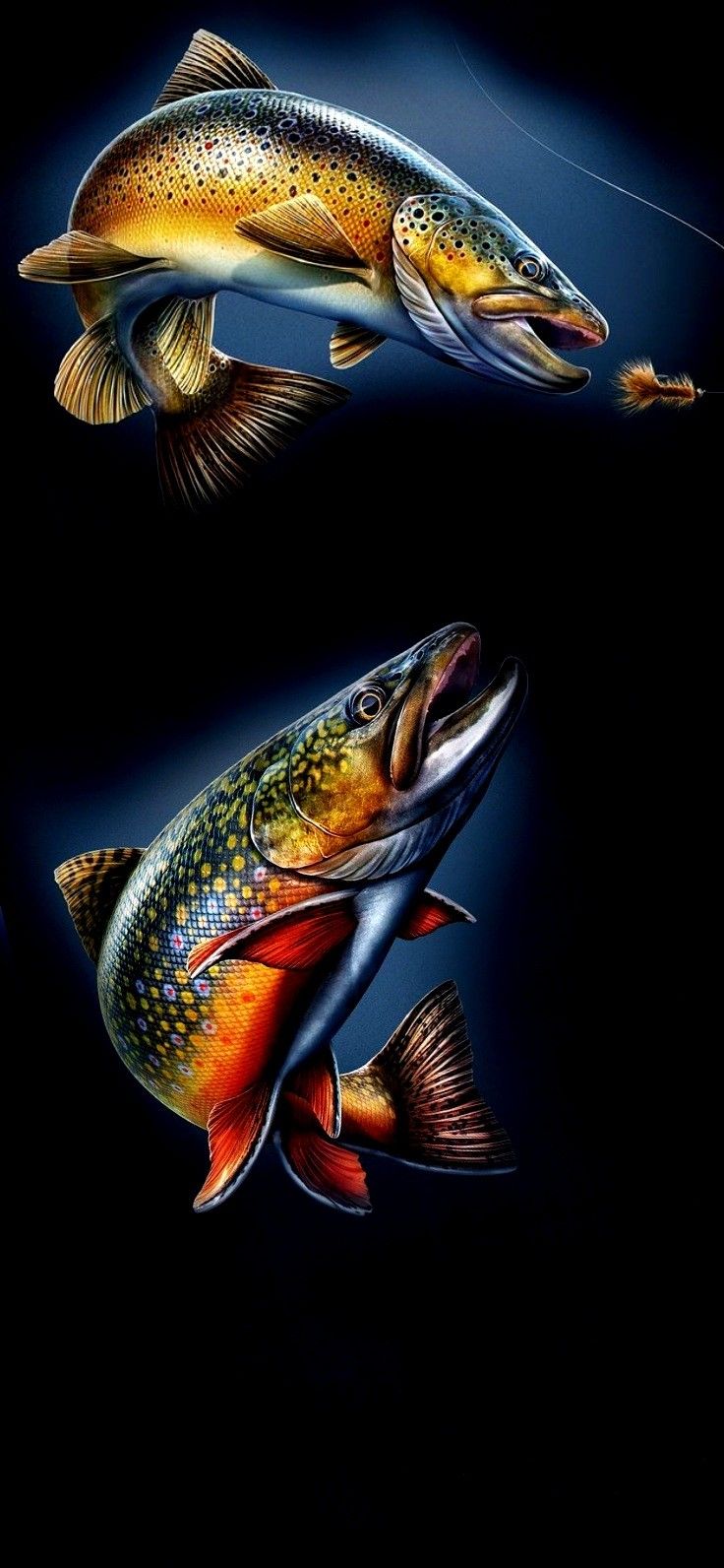 two large fish are shown in the dark, one is brown and one is orange