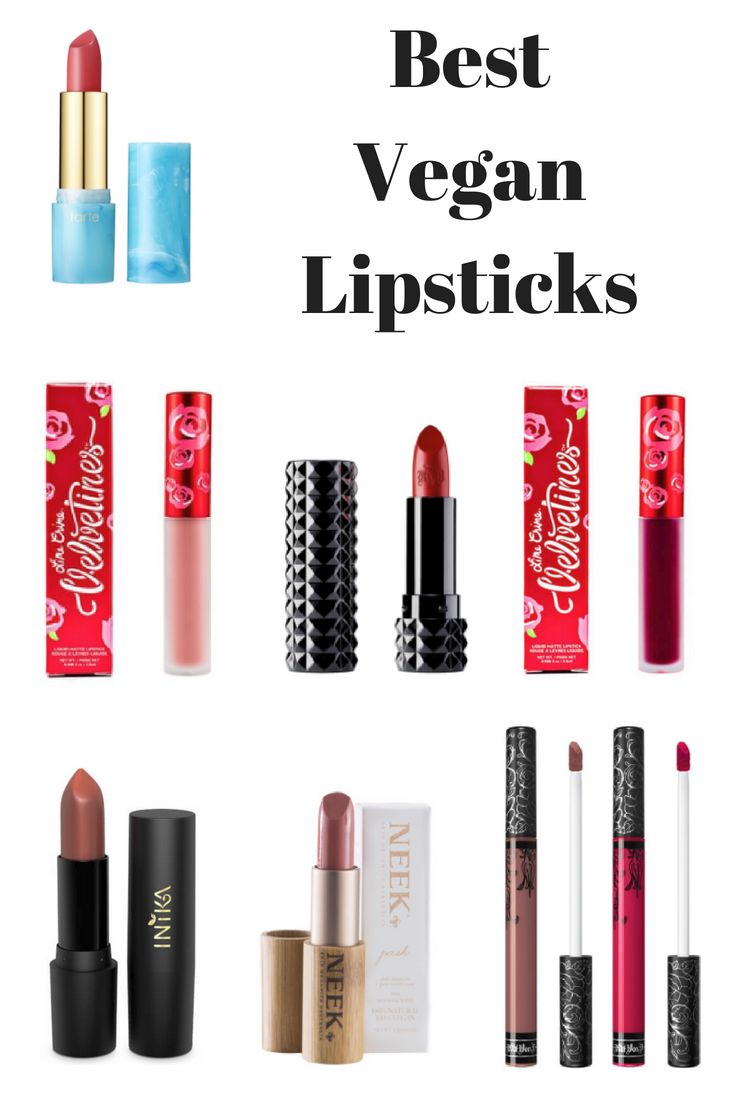 Click on this pin to find the best vegan lipsticks that do not contain any animal-derived ingredients. The included lipsticks are all cruelty free lipsticks also that do not test on animals either. Vegan Makeup Brands, Cruelty Free Makeup Brands, Vegan Lipstick, Lipstick Art, Clear Lip Gloss, Fun Life, Cruelty Free Brands, Beauty Tips For Skin, Vegan Makeup