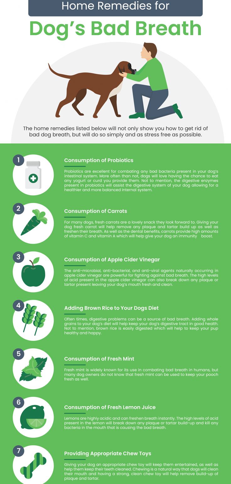 an info sheet describing the benefits of dog's bad breath and how to use it