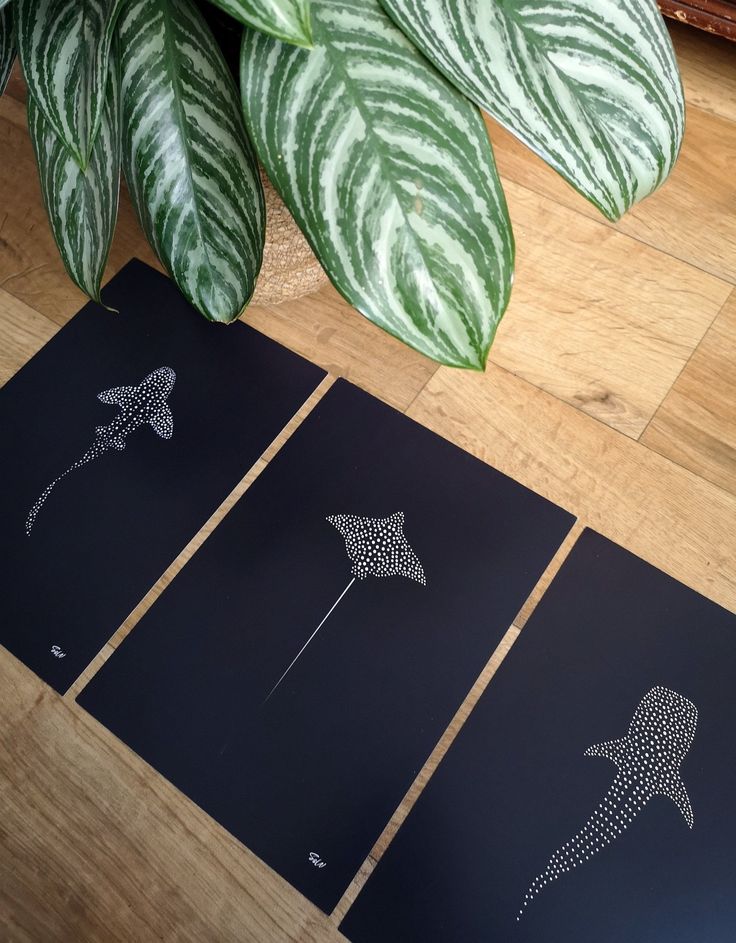 four black and white art pieces on the floor next to a plant with leaves in it