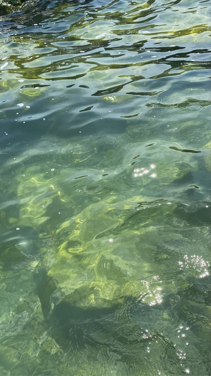 the water is so clear that it appears to be green