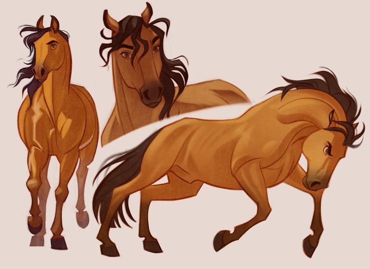 three horses running side by side on a white background