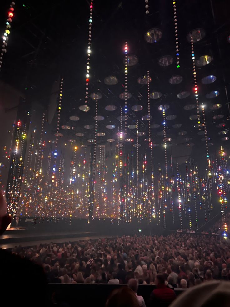 an audience at a concert with lights hanging from the ceiling