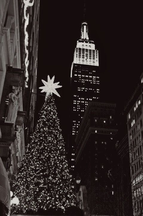 black and white photograph of christmas tree in new york city with empire building in background